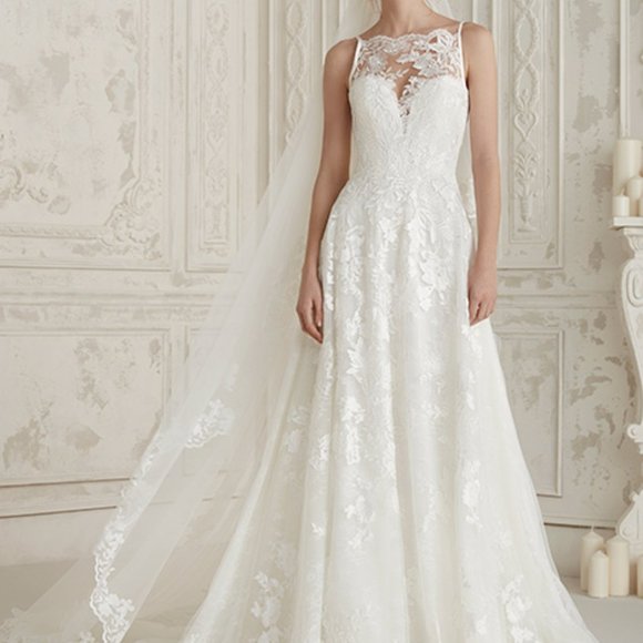Pronovias Eleana Gown - Picture 1 of 5